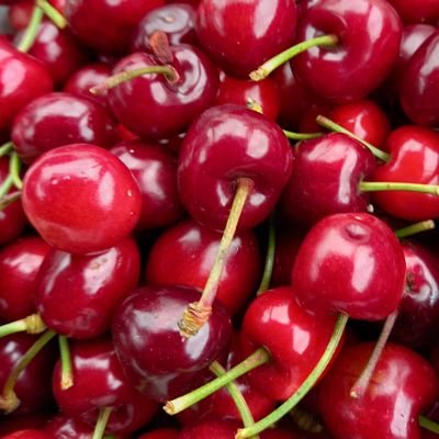 Pyrénées 2023 Jour 7 : De la terre à la mer