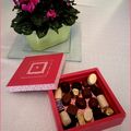 Quelques chocolats