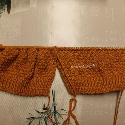 Mon en cours les manches du gilet de Kayden ...