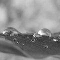 Après la pluie