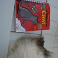 Le complot du chat - Katie Davis