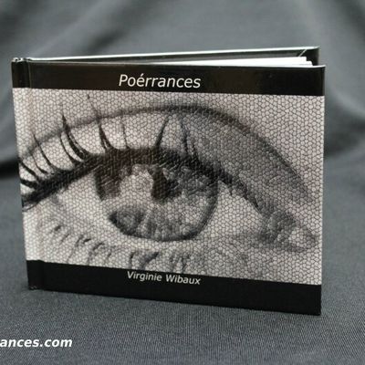 Le Tome 2 est sorti !