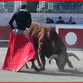 BÉZIERS - « dans l’intimité d’un torero » et reseña de Tierry Girard