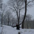 L'hiver à Uppsala