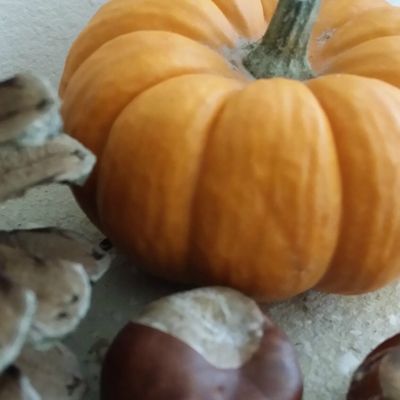 Octobre fait son oeuvre...