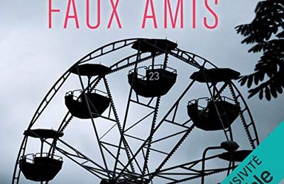 Faux amis (Promise Falls #2), de Linwood Barclay