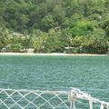 ILES DES CARAIBES - TOBAGO (suite)