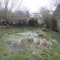 BIODIVERSITE : appel à projets de la Région wallonne