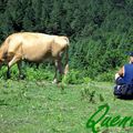 la vache et le prisonnier en haut du col d'ibardin