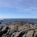 Sea Ranch California