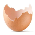 Recyclage : 7 façons inattendues d'utiliser vos coquilles d’œufs 