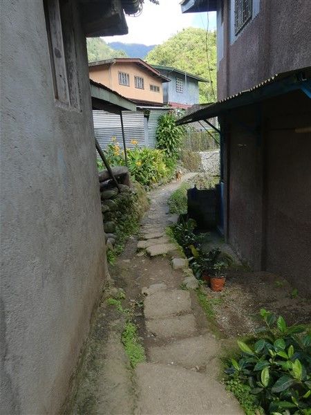 P1310011