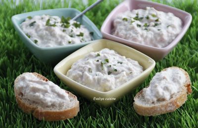 RILLETTES DE THON ET CONCOURS