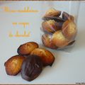 "mini madeleines en coque de chocolat"