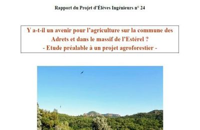 Conclusion de l'étude préalable : le rapport détaillé