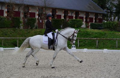 Des cavaliers du PUY DU FOU au concours de dressage