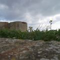 chateau de SALSES a PERPIGNAN