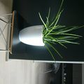 Can Artist : une chambre d'hôte so design and so calm