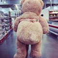I WANT A BIG TEDDY BEAR HUG ! 
