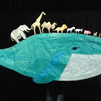 La puce, le chameau et les autres - Résidence à Ducey du 8 au 11/01/18