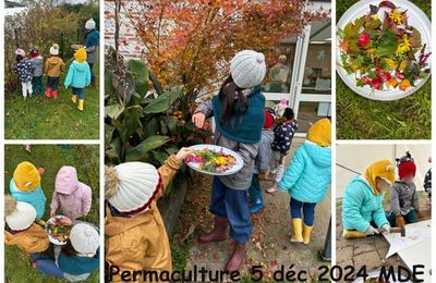 Permaculture en Maison des Enfants en novembre et décembre