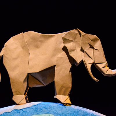 La puce, le chameau et les autres - création les 1er et 2/02/18 au Théâtre de Saint-Lô et du 8 au 10/02/18 au Théâtre Foz