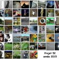 Bilan photos Projet 52 et AIE 2015