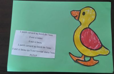 UN PETIT CANARD AU BORD DE L'EAU