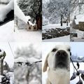 Solstice d'hiver