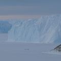 Les arrivées continuent