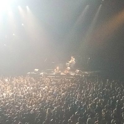 Les Insus au Zénith de Paris