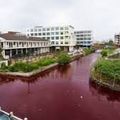 Chine: Une nouvelle rivière Chinoise a mystérieusement viré rouge sang hier. 
