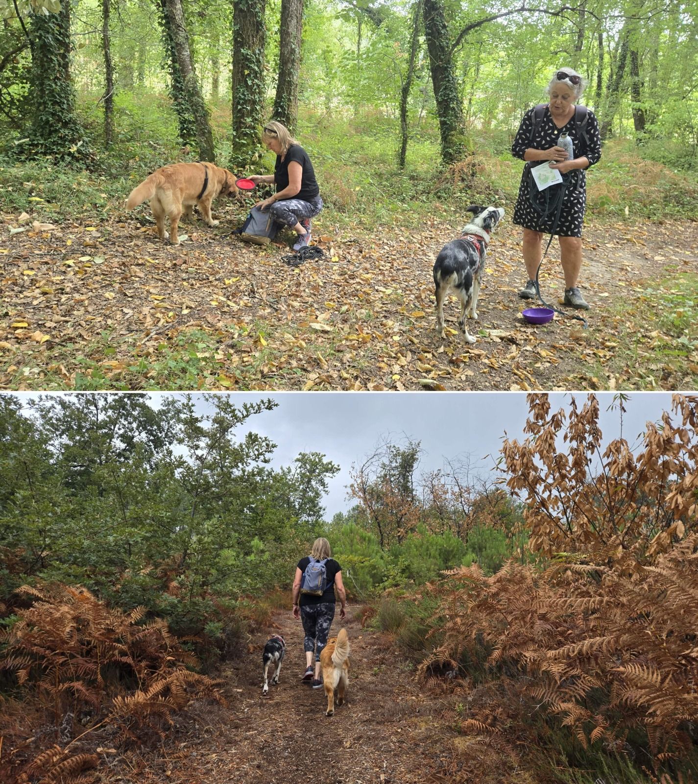 randonnée dans le Périgord Dordogne