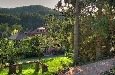 L'Arnsbourg *** : entrez dans la quatrième dimension