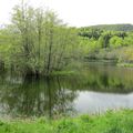 Lac des Picades