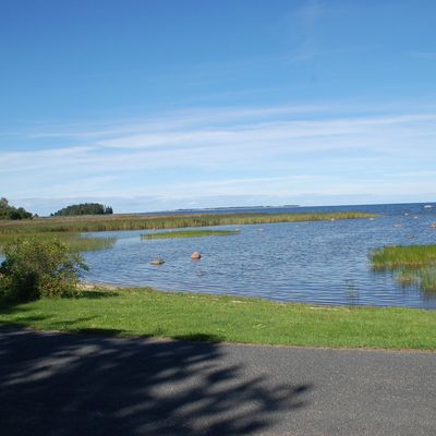 Voyage au coeur de l'Estonie en famille