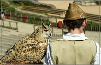 Comprendre le "Bal des Oiseaux Fantômes".