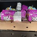 [GRIF' Abrite] Une ration de secours pour nos chattes de grange!