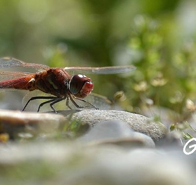 Une journée "mal barrée" qui s'annonce finalement très douce