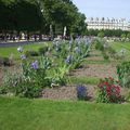 Visite du jardin des Tuileries avec les Seniors de Meudon