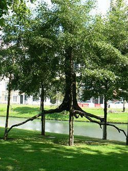 Autour d'un mouvement: l'Arte Povera