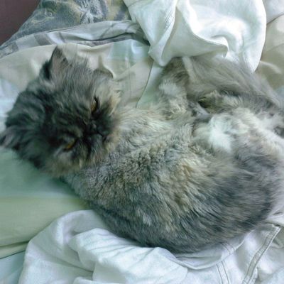 Myra, seule.... mais heureuse....