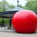 The red ball project