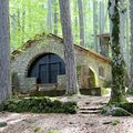 La chapelle dans la forêt