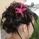 Nouvelles Tendances Delphine Coiffure à Domicile