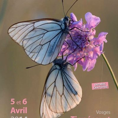 8ème Rencontres Natur'Images de Tignécourt