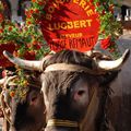 Bazas en pays Gascon