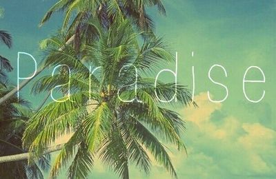 Vacances <3 [photos de weheartit]