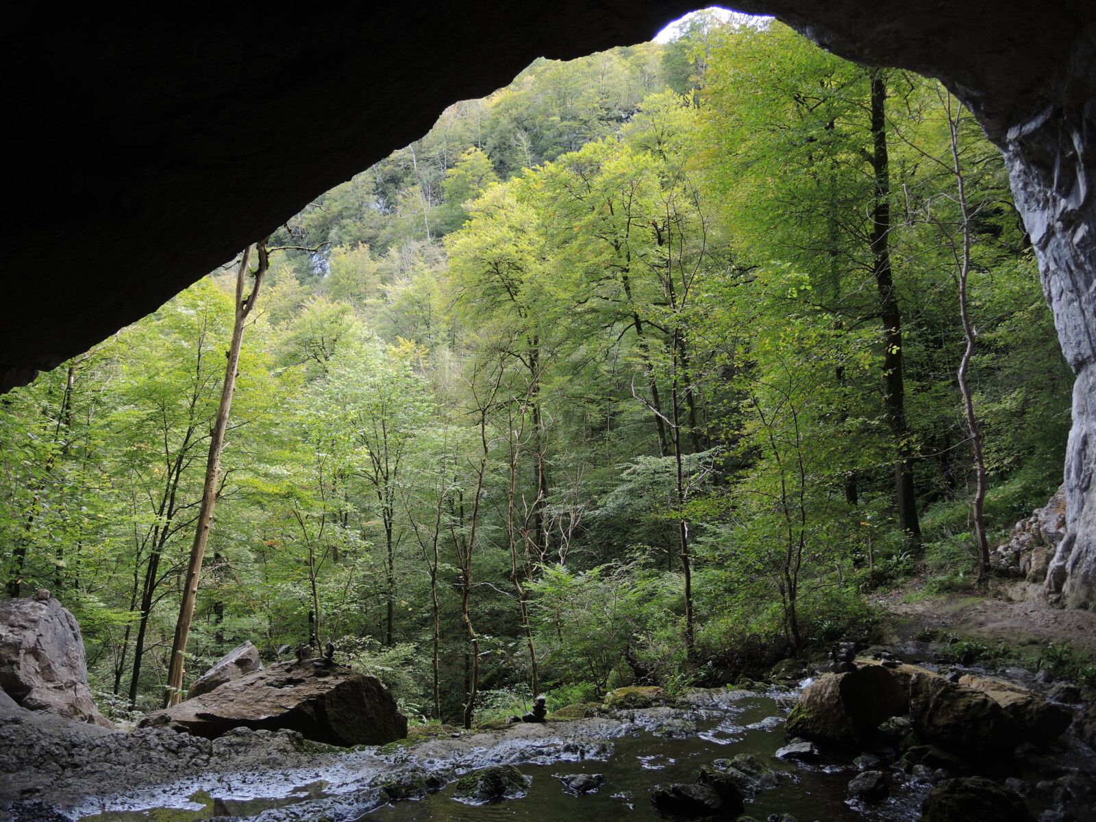 Sources de la Bidouze, sentier, dans la grotte, vue sur l'extérieur. (64)
