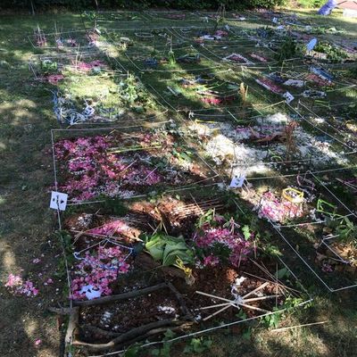 NOUVEAUTE DANS NOTRE CATALOGUE NATURE ET ENVIRONNEMENT : ATELIER LAND ART